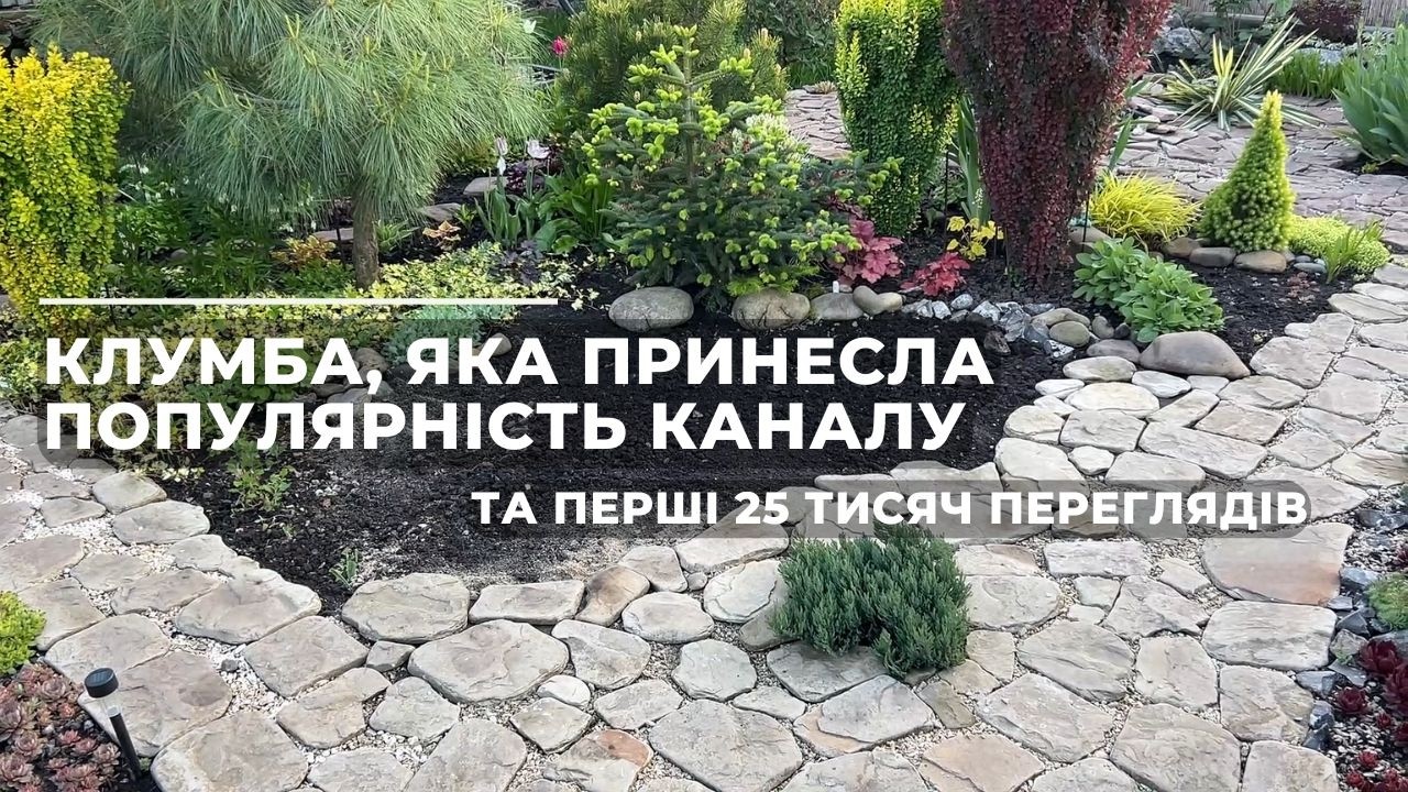 Клумба, яка принесла популярність каналу та перші 25 тисяч переглядів