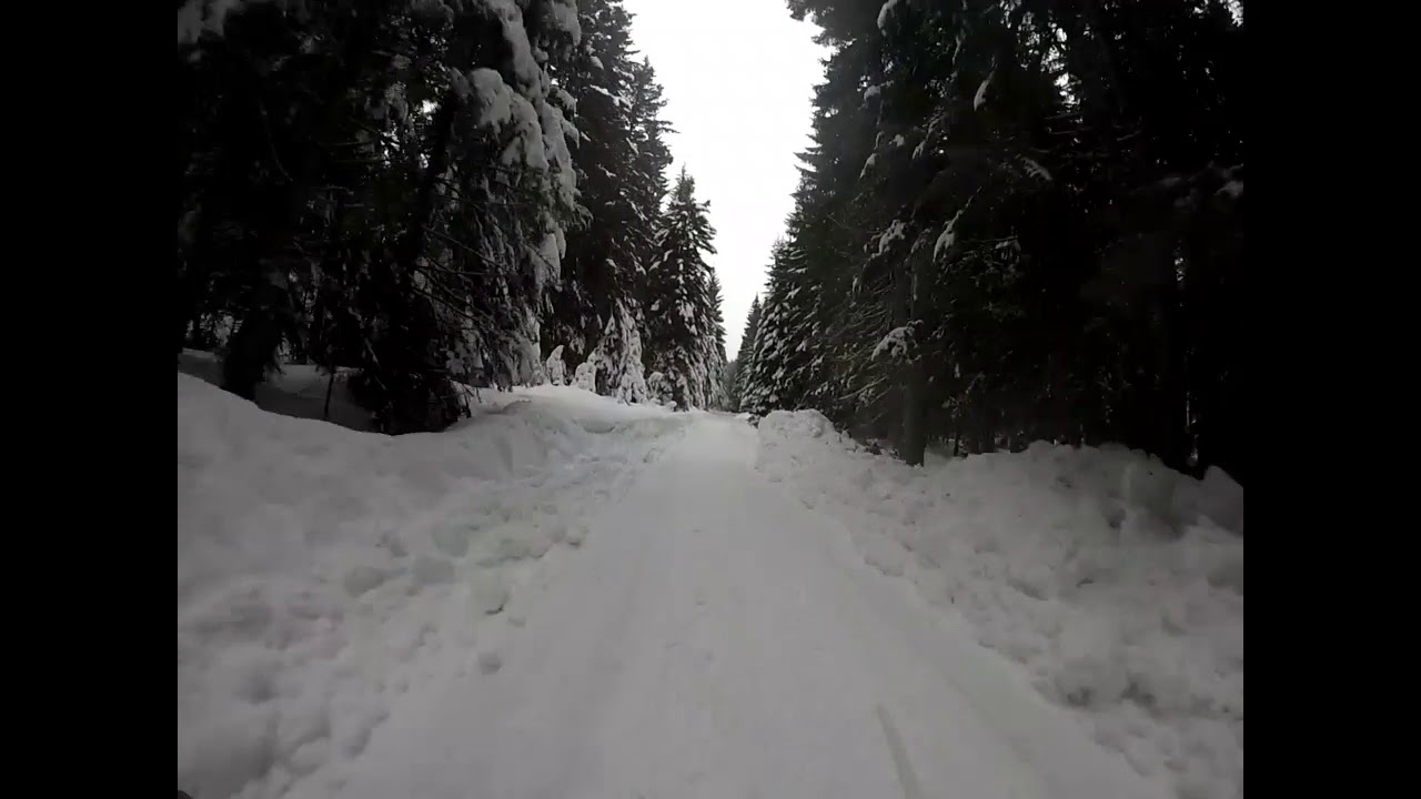 Montenegro vinter cup Zabljak trka 2018 yamaha grizly neno bosanac