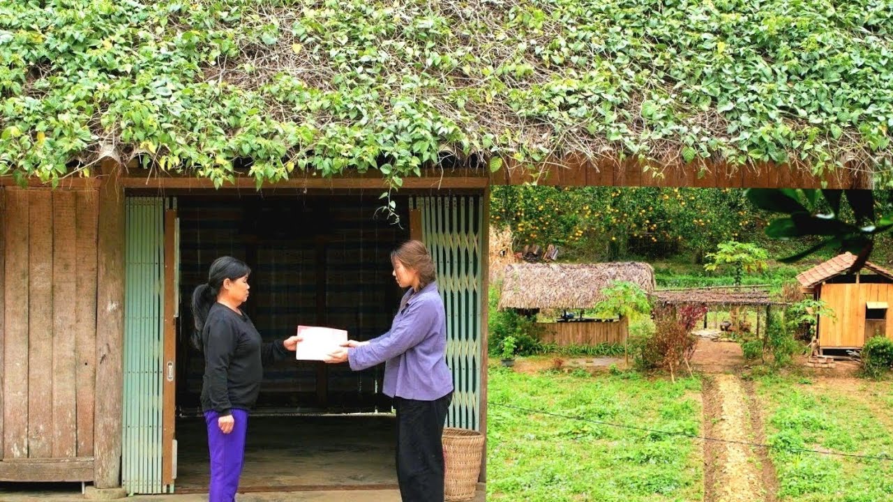 Has the $1,000 Land Really Become Mine? | Episode 11