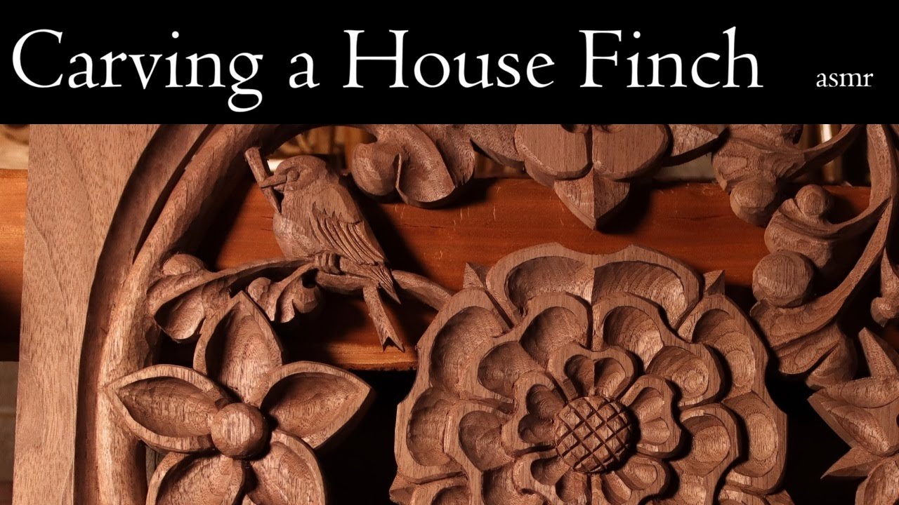Carving a House Finch – Full Length ASMR Tutorial