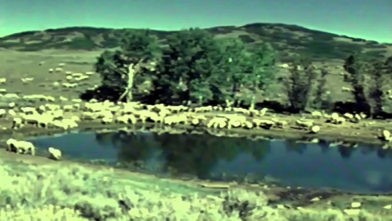 The Basque Sheepherder