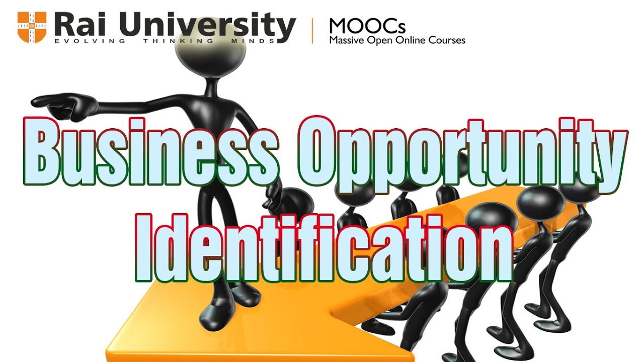 Business Opportunity Identification