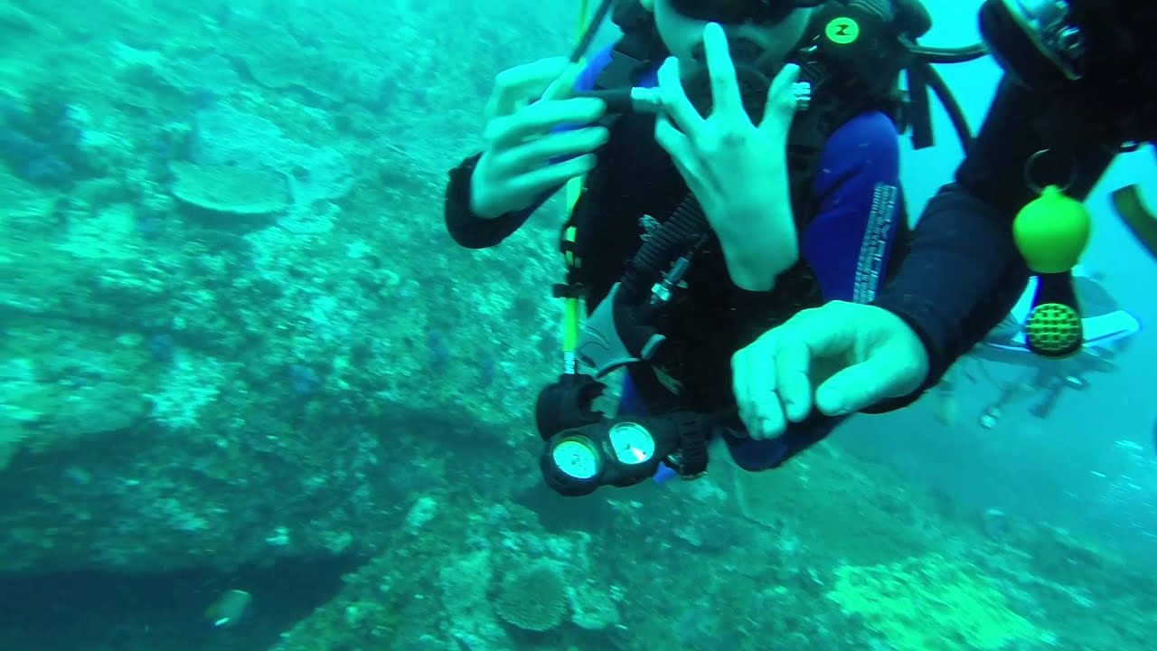 Mozambique diving Bilene 2013