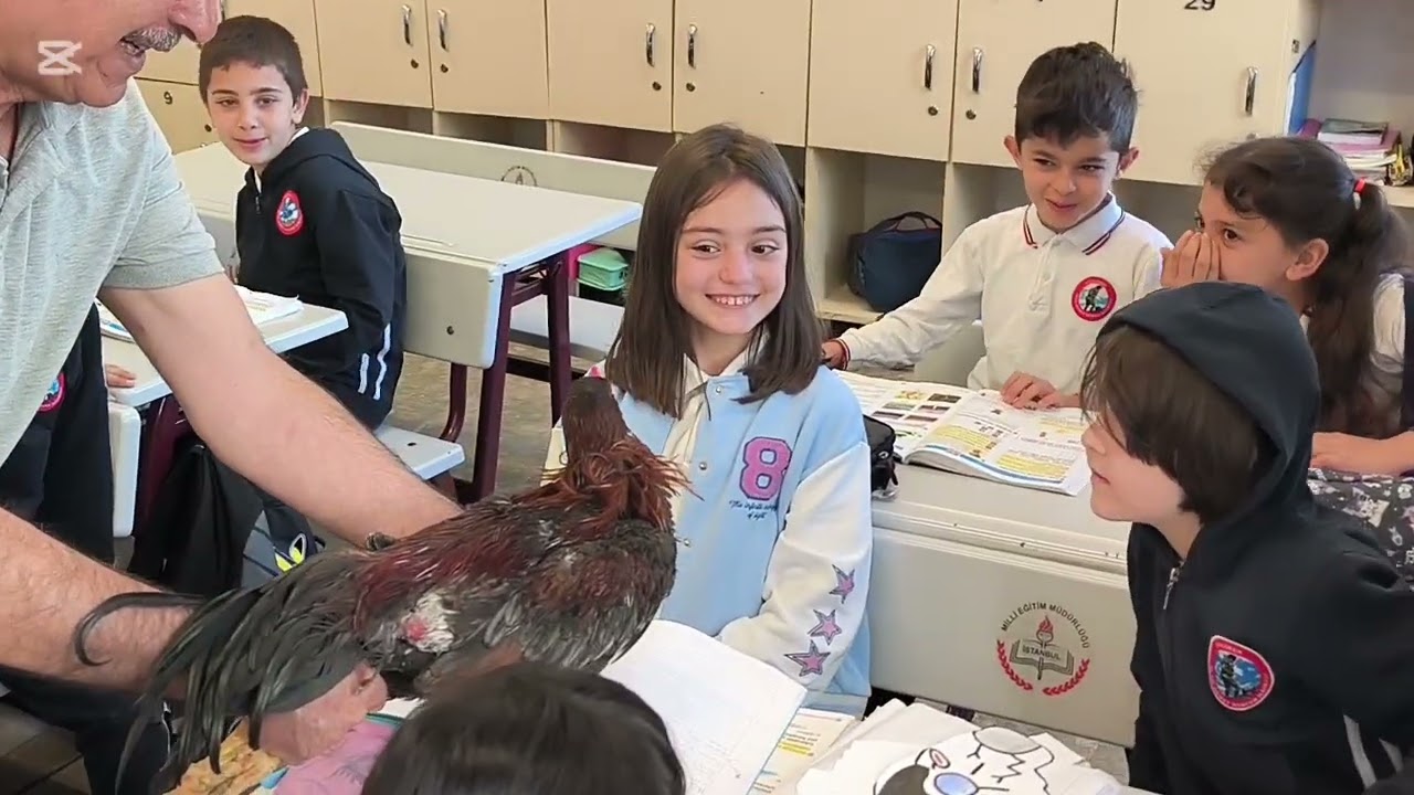 2🎸F Sınıfı öğrencilerinin Hayvan Beslemenin ve Hayvan Sevgisinin Önemi konulu etkinliği...