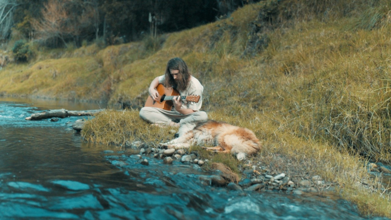 Stream Therapy | 1hr Acoustic Guitar (444Hz)