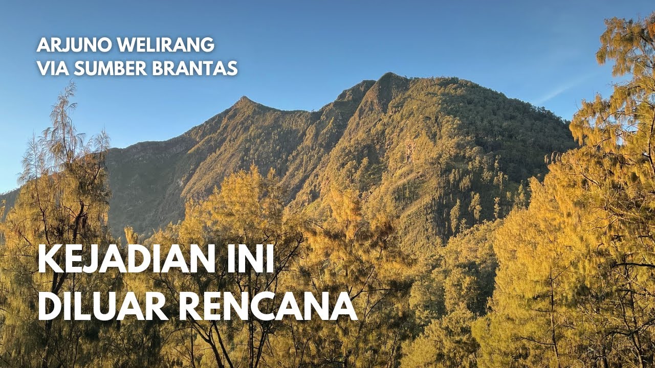 POV Pendakian Arjuno Welirang Via Sumber Brantas 01 - Apakah Mampu Mencapai 4 Puncak | Mendakuy.ID