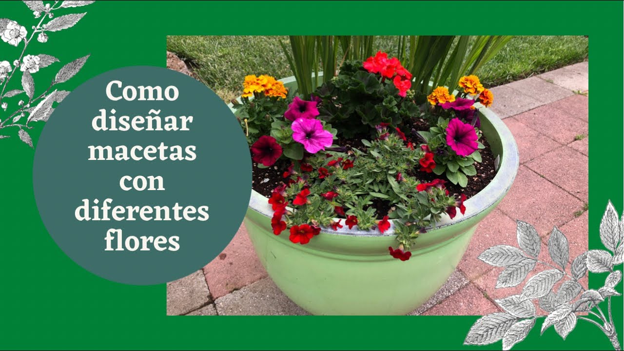 Como diseñar macetas con diferentes flores