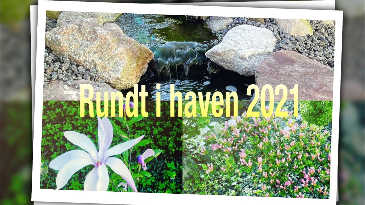 En tur rundt i haven 