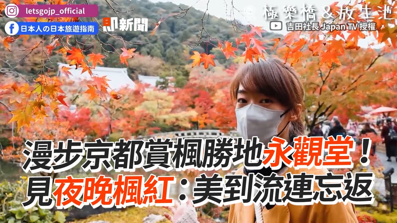 漫步京都賞楓勝地永觀堂！　見夜晚楓紅：美到流連忘返