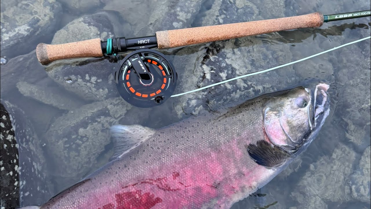  Kenai River Spey fishing in December