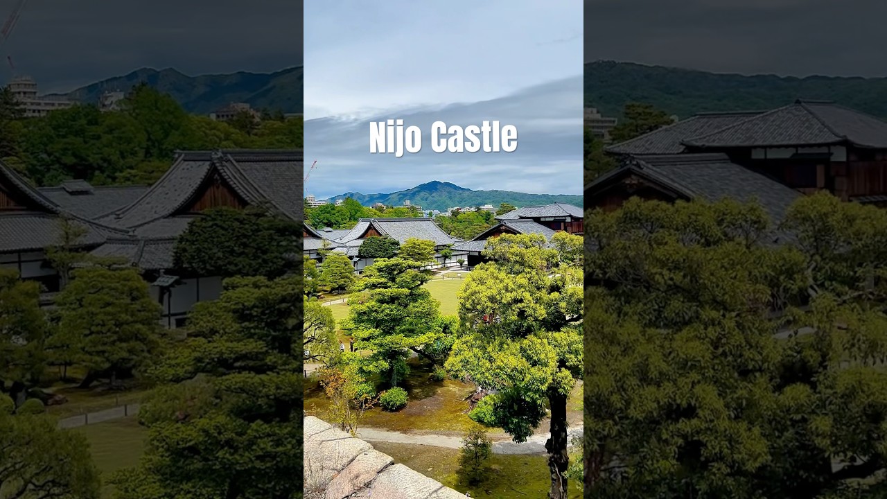 Must add spot to your Kyoto itinerary! Nijo Castle #kyoto #japan #nijo #castle