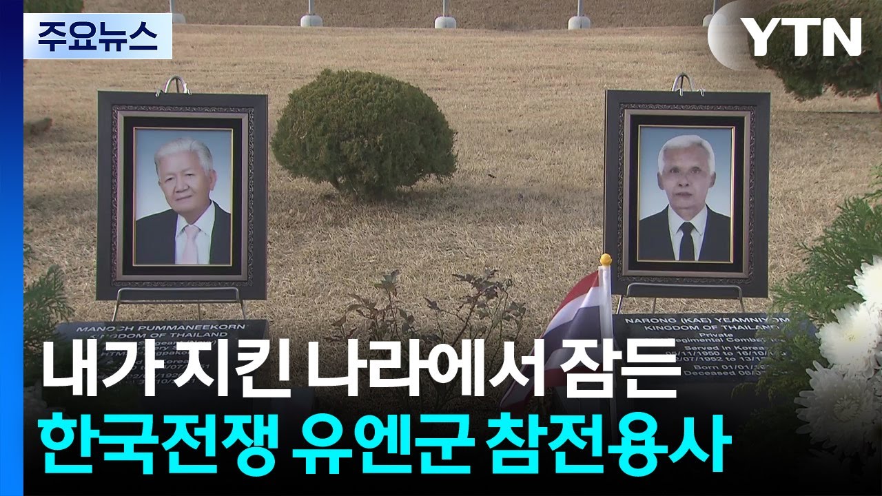 [부산] 내가 지킨 나라에서 잠든 한국전쟁 유엔군 참전용사 / YTN