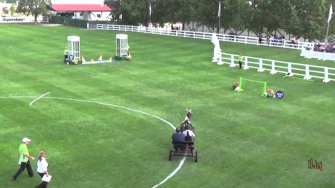 HorseJunkiesUnited.com - Telus Battle of the Breeds Precision Driving