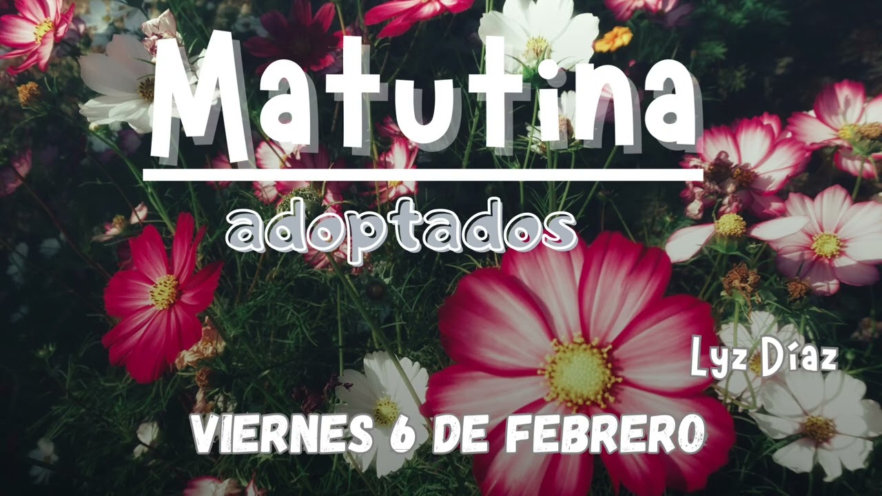 Matutina- adoptados #matutina 