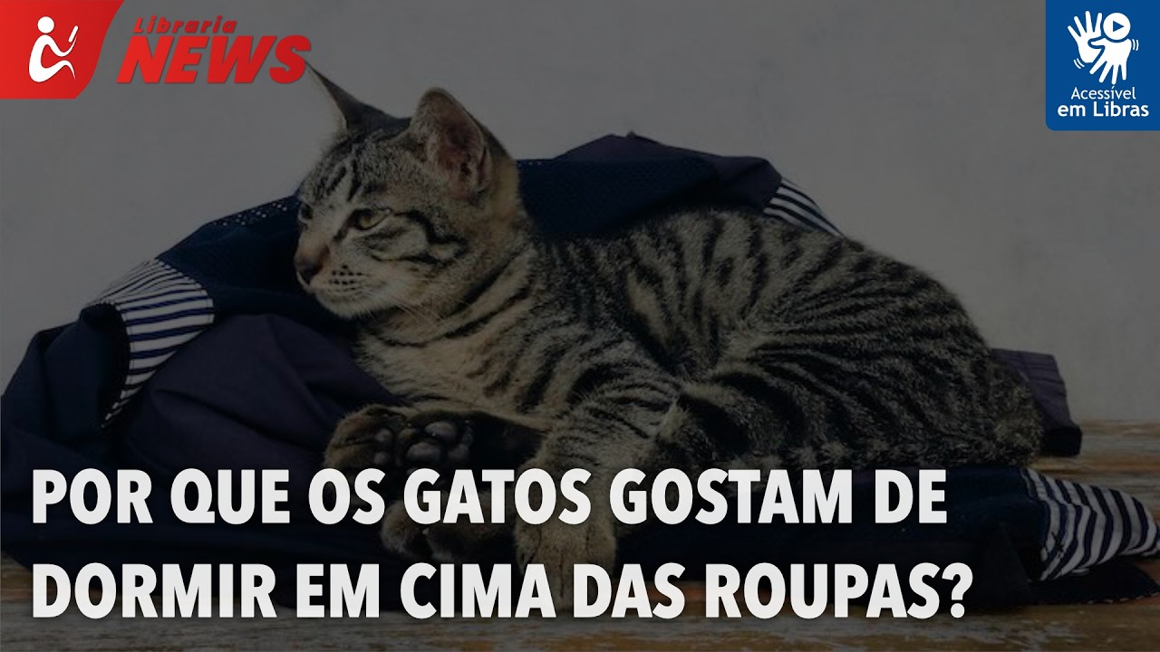 Por que os gatos gostam de dormir em cima das nossas roupas? (Libras)
