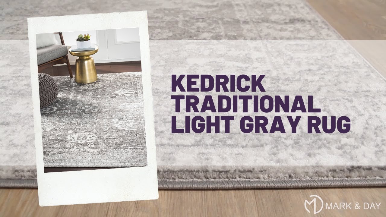 Kedrick Traditional Light Gray Rug