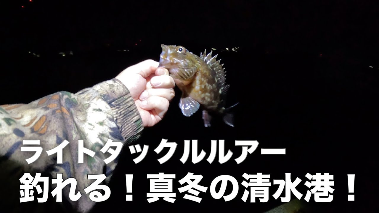 【清水港】釣れる！真冬のライトタックルルアーフィッシング！