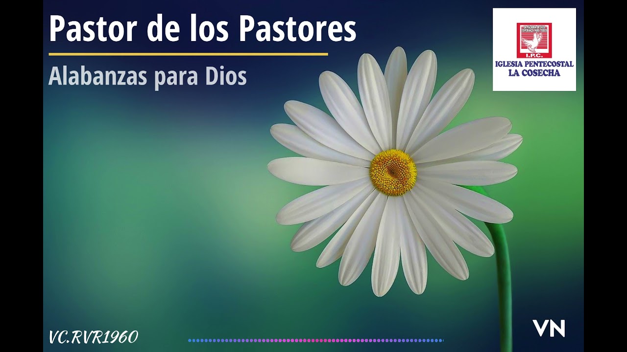 Pastor de los Pastores -Alabanza a Dios IPC