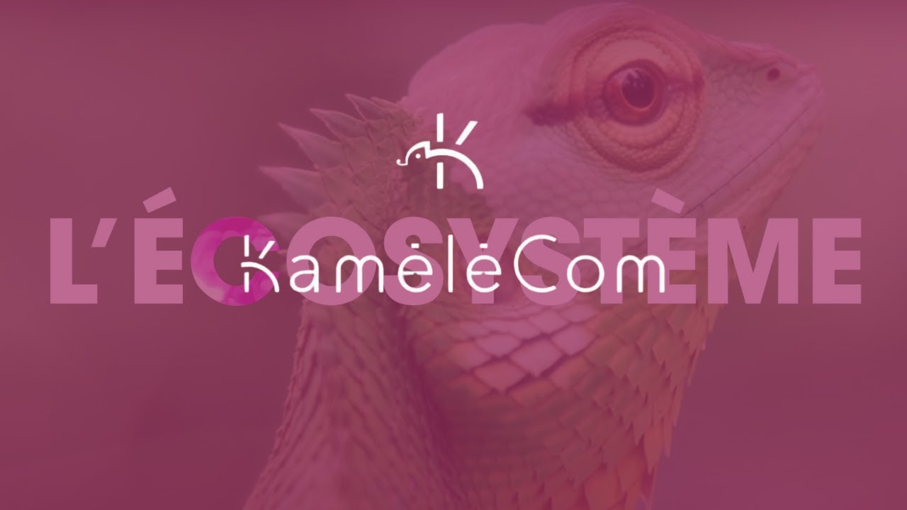 Vid&eacute;o Kam&eacute;l&eacute;com - Agence de communication &agrave; Lille