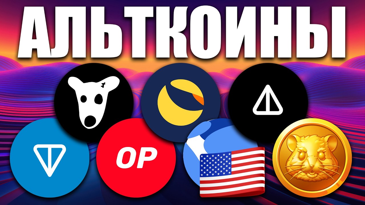 🐱&zwj;🏍Эти монеты готовы к взлету! Разбор монет: NOT TON LUNC USTC DOGS HMSTR OP