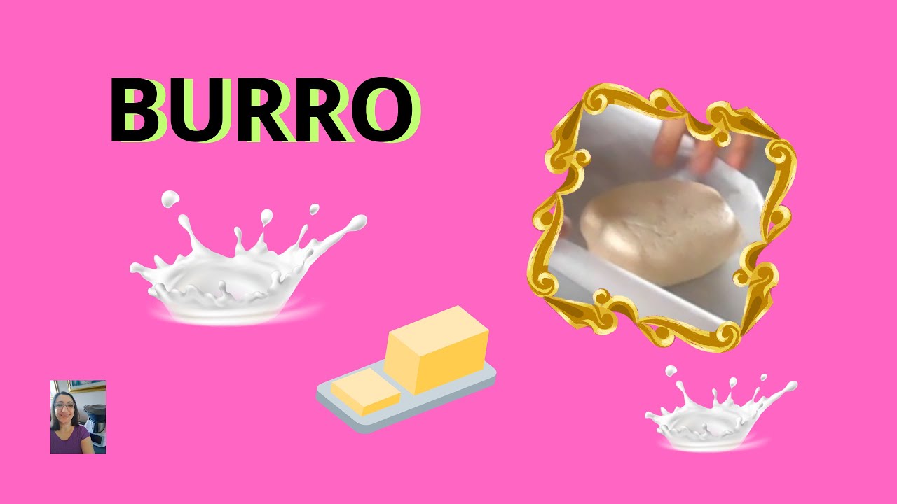 Burro
