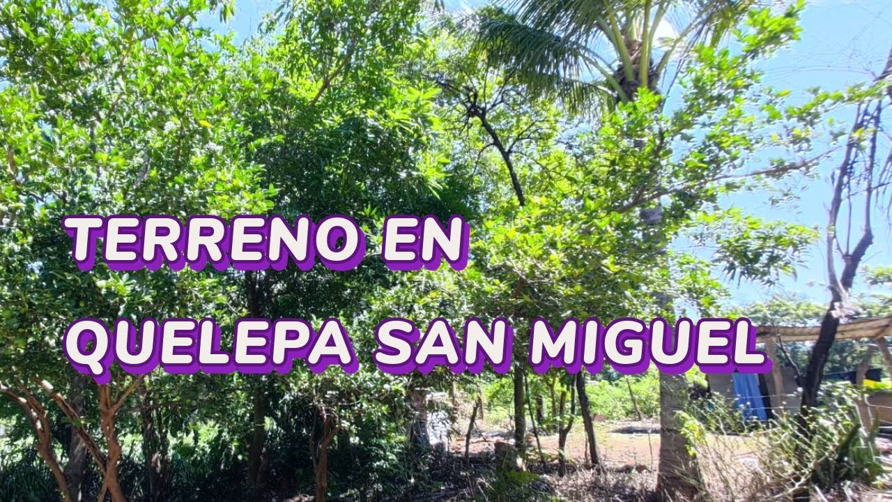 Se Vende Propiedad con pozo y árboles frutales en Quelepa San Miguel $25,500 Tel +503 7299-8557