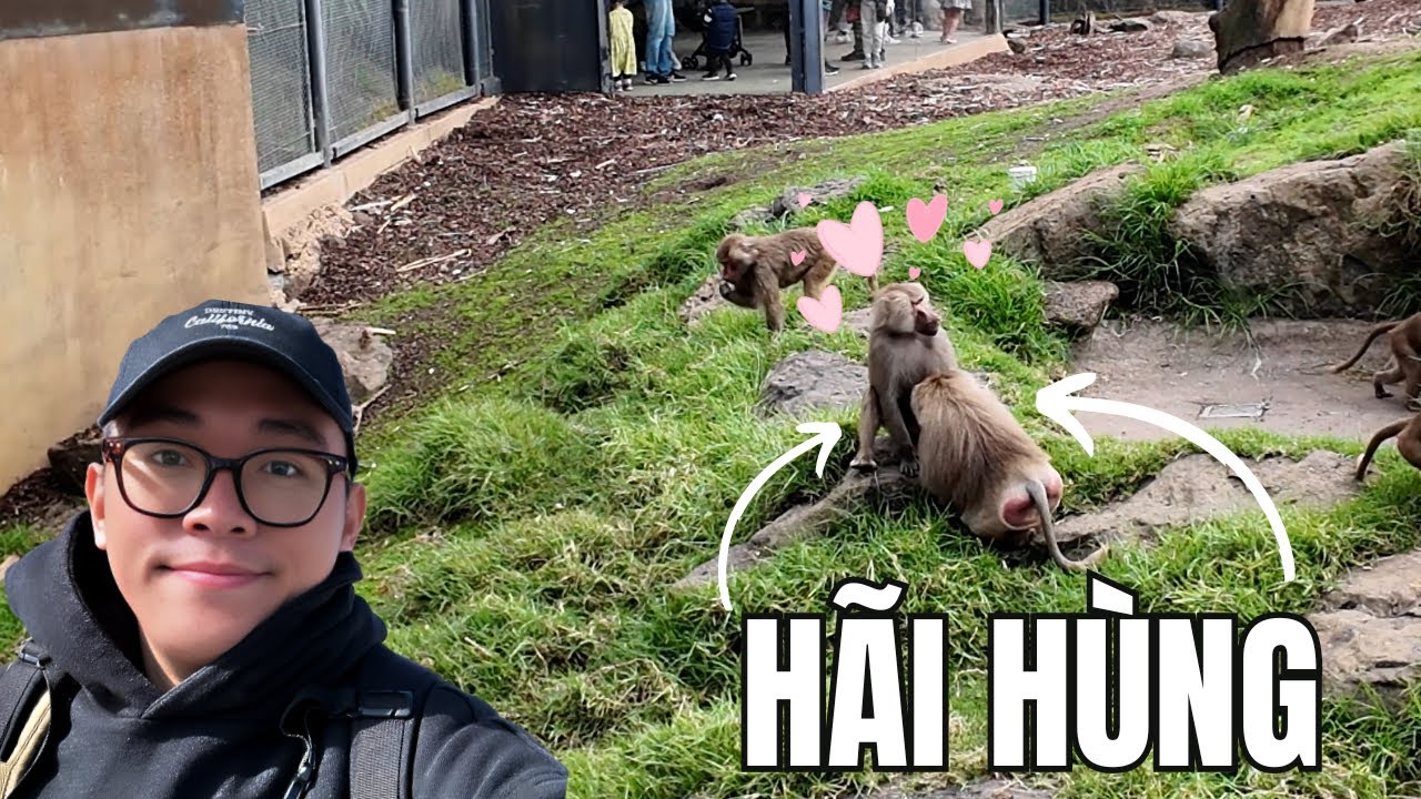 MELBOURNE ZOO ! SỞ THÚ 162 NĂM TUỔI ĐẦY ÁM ẢNH !