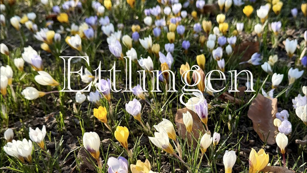 Ettlingen, Germany. Walking tour. 2025. 4K video.