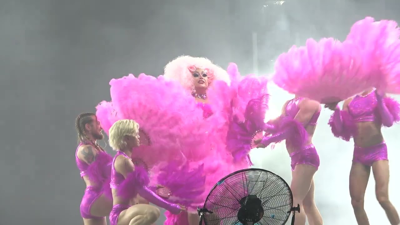 Drag Ball - Kitten Kaboodle