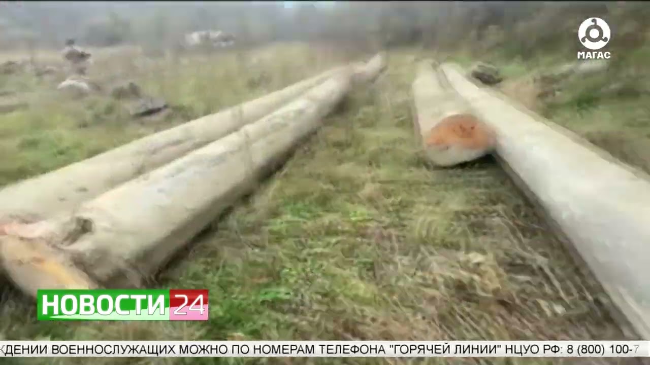 В Сунженском районе задержали 