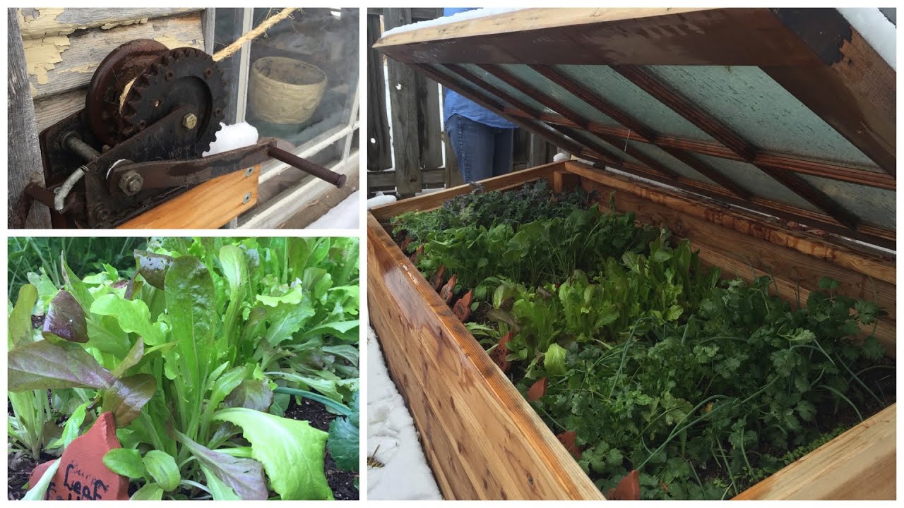 My Mom's AWESOME Cold Frame!