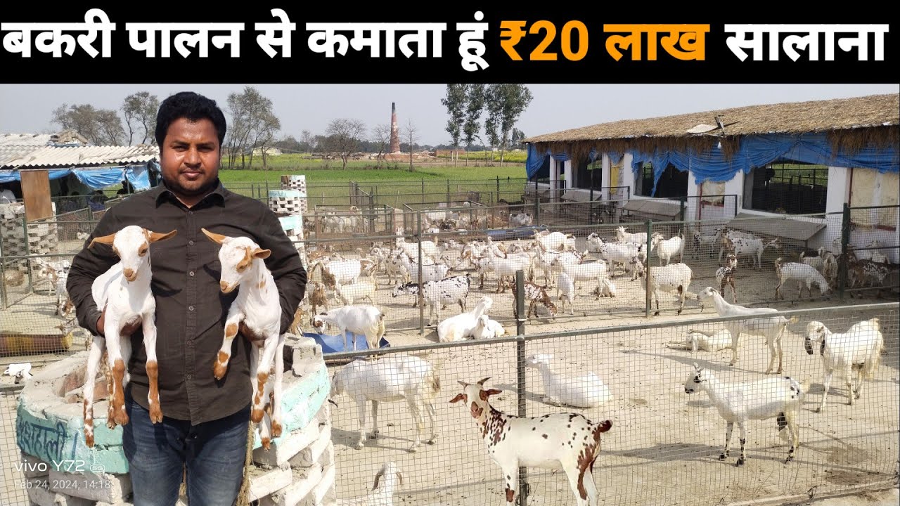 इंजीनियर साहेब बकरी पालन से 20 लाख कमाते है Goat farming in Hindi #goatfarming