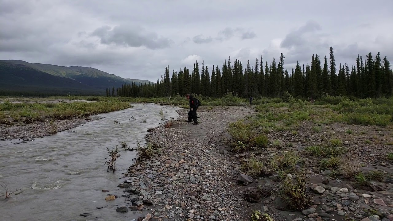 Hiking the Teklanika River at Denali National Park