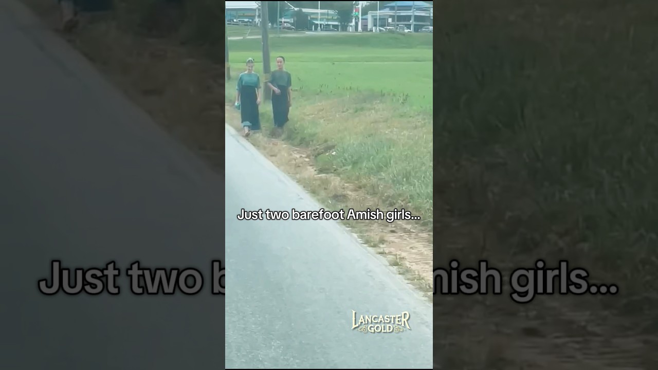 Just small town Amish girls with big economic plans. #amish #funny #fyp #countrygirl #amishparadise
