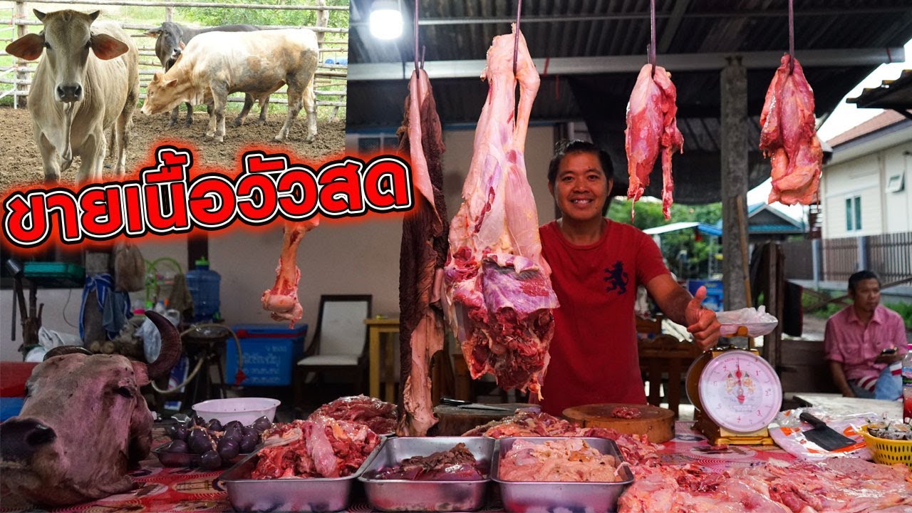 เปิดเขียงเนื้อวัวสดแทนร้านก๋วยจุ๊บครับทุกๆคน หาอาชีพที่เหมาะกับตัวเรา