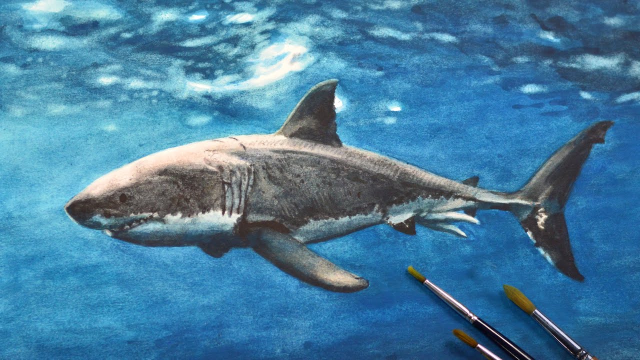 Shark | Watercolor Painting Time-lapse
