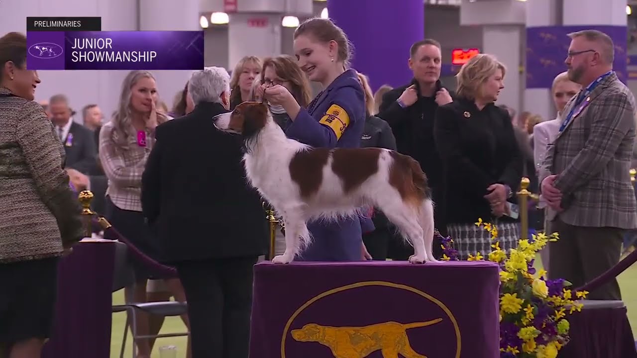 Eliminacje do Konkursu Junior Showmanship | Ocena Ras 2026