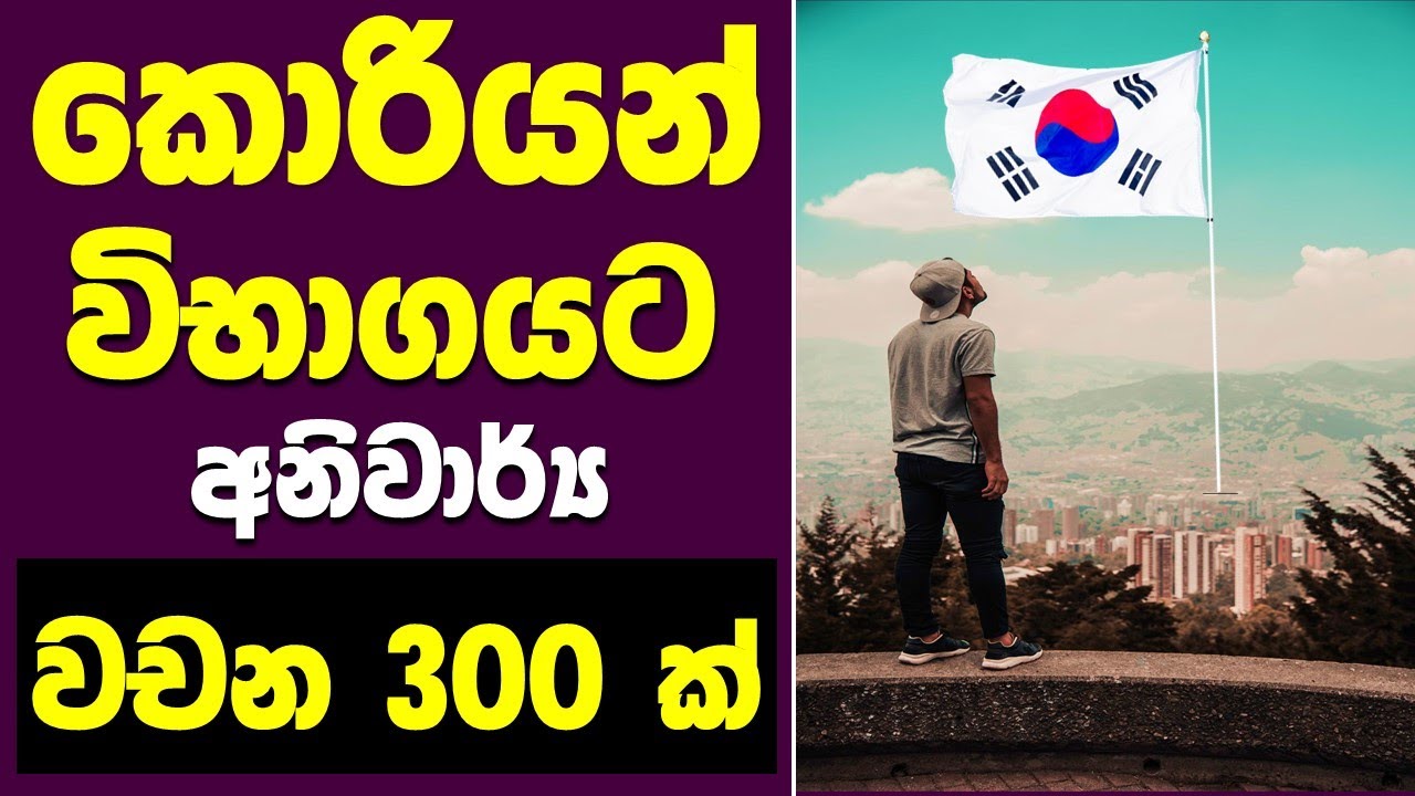 Learn Korean in Sinhala - කොරියානු පෙළපොත් දෙකෙහි පළමුවන පාඩම් 30 තුළ ඇති ඉතා වැදගත් වචන 300 ක්