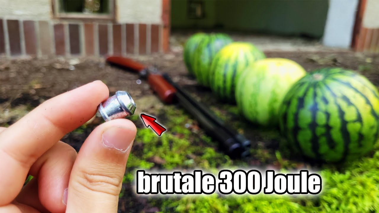 Welchen SCHADEN richten RIESIGE cal. 50 SLUGS verschossen mit 300 JOULE LUFTGEWEHR an?
