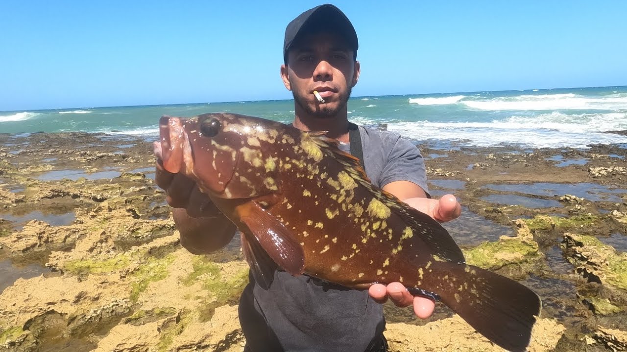 Back For A mission 😎 at mission rocks And a morning surprise @Boyshesfishing