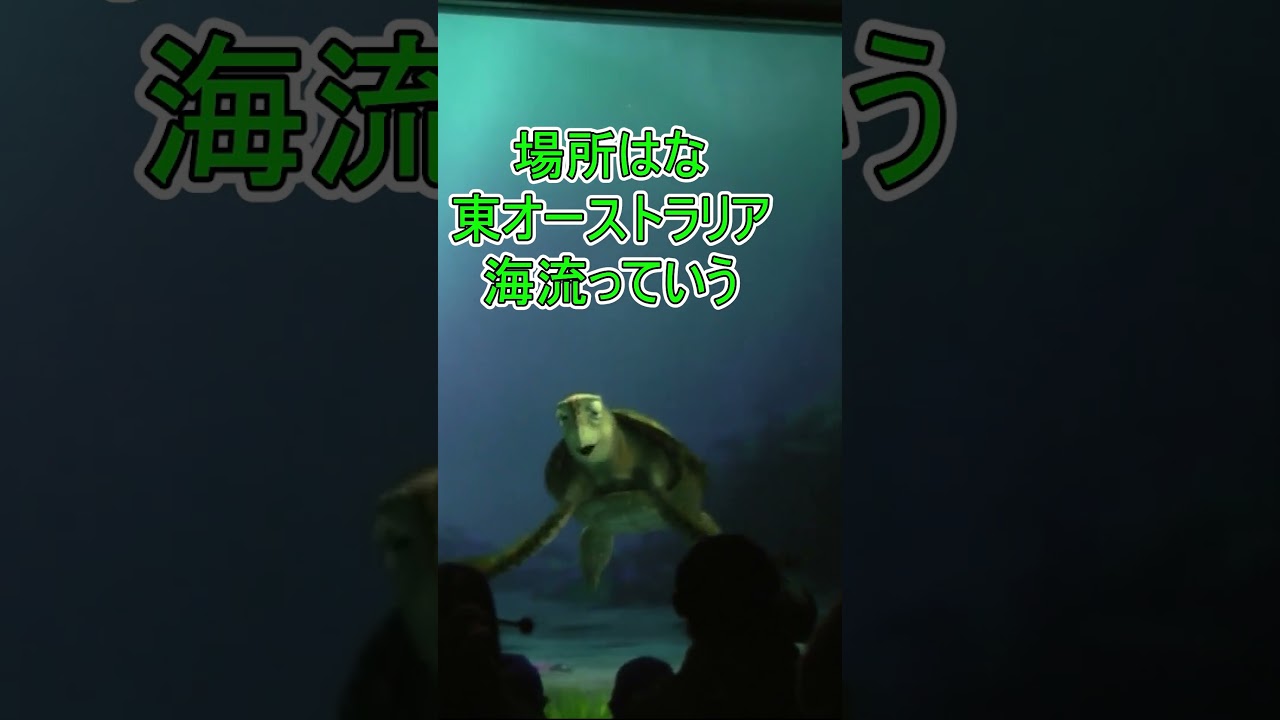 結婚式はどこでやるんですか？【タートルトーク】東京ディズニーシー