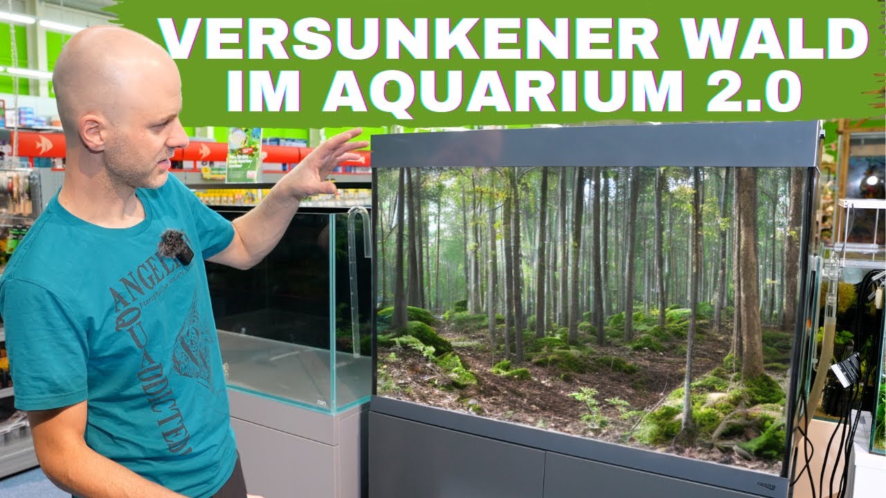 Der versunkene Wald bekommt ein neues Aquarium | Amtra Alux review & Einrichtungsbeispiel