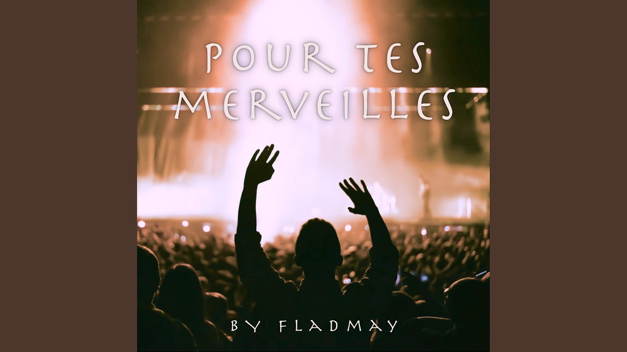 Pour tes merveilles (Hard Remix)