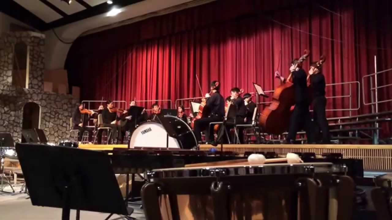 HSN Nonet: Aus Meinem Leben- Bedrich Smetana