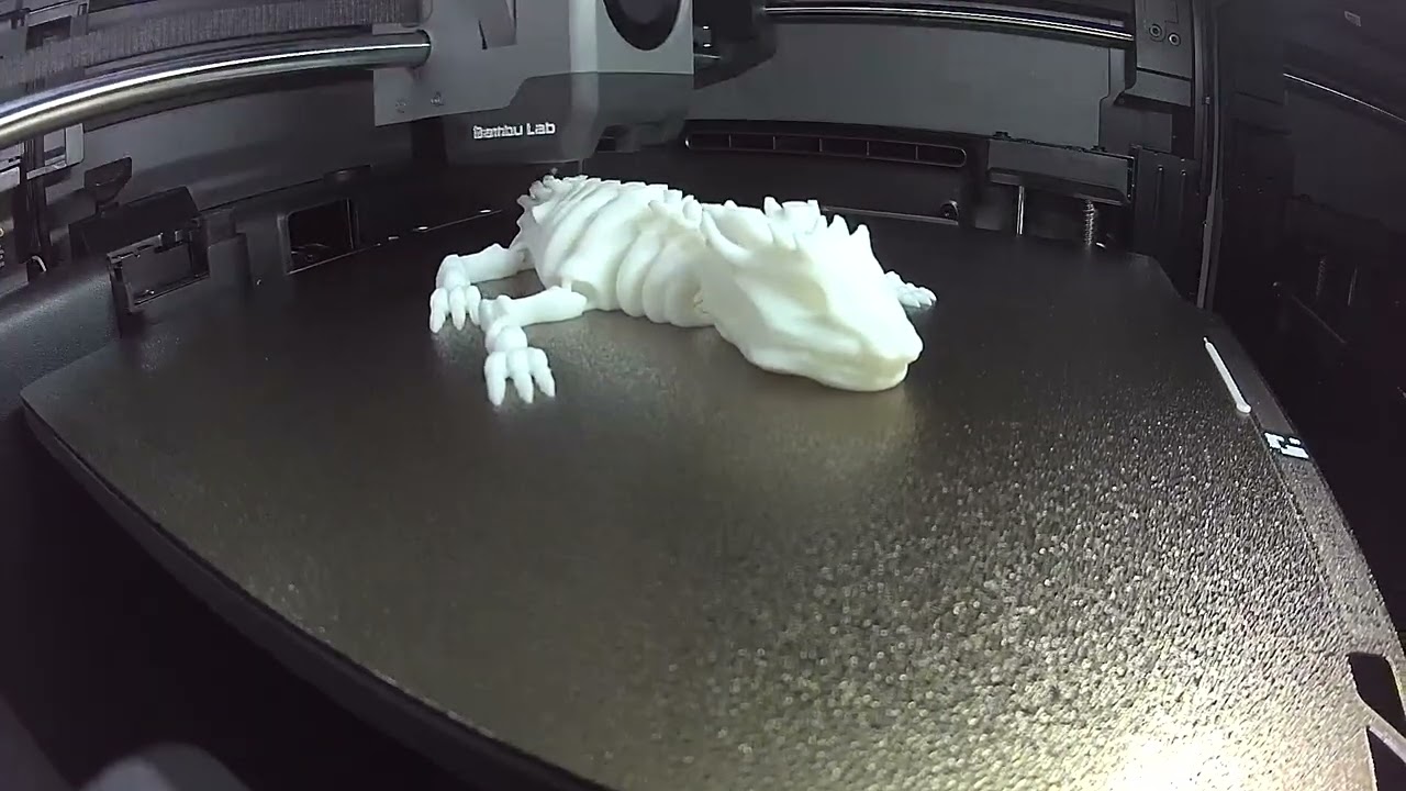Articulated Dragon skeleton 3D time-lapse 