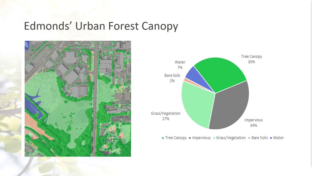 City of Edmonds Urban Forest Management Plan Virtual Open House