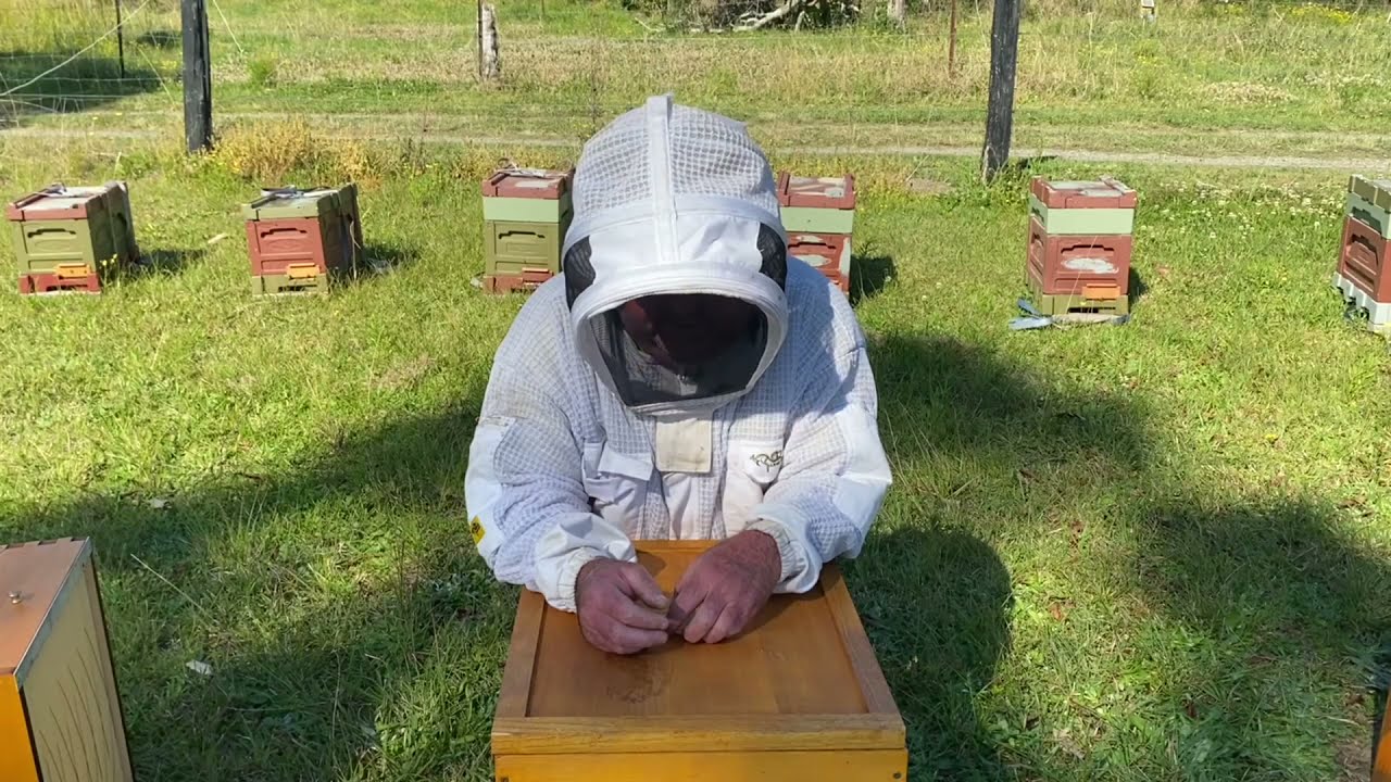Setting up our Flowhive 2.  Putting the nucleus hive into the brood box & adding the Flow super.