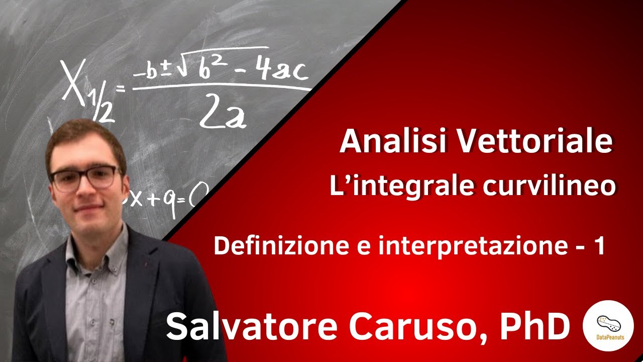 Analisi vettoriale - L' integrale curvilineo - Definizione e interpretazione - 1