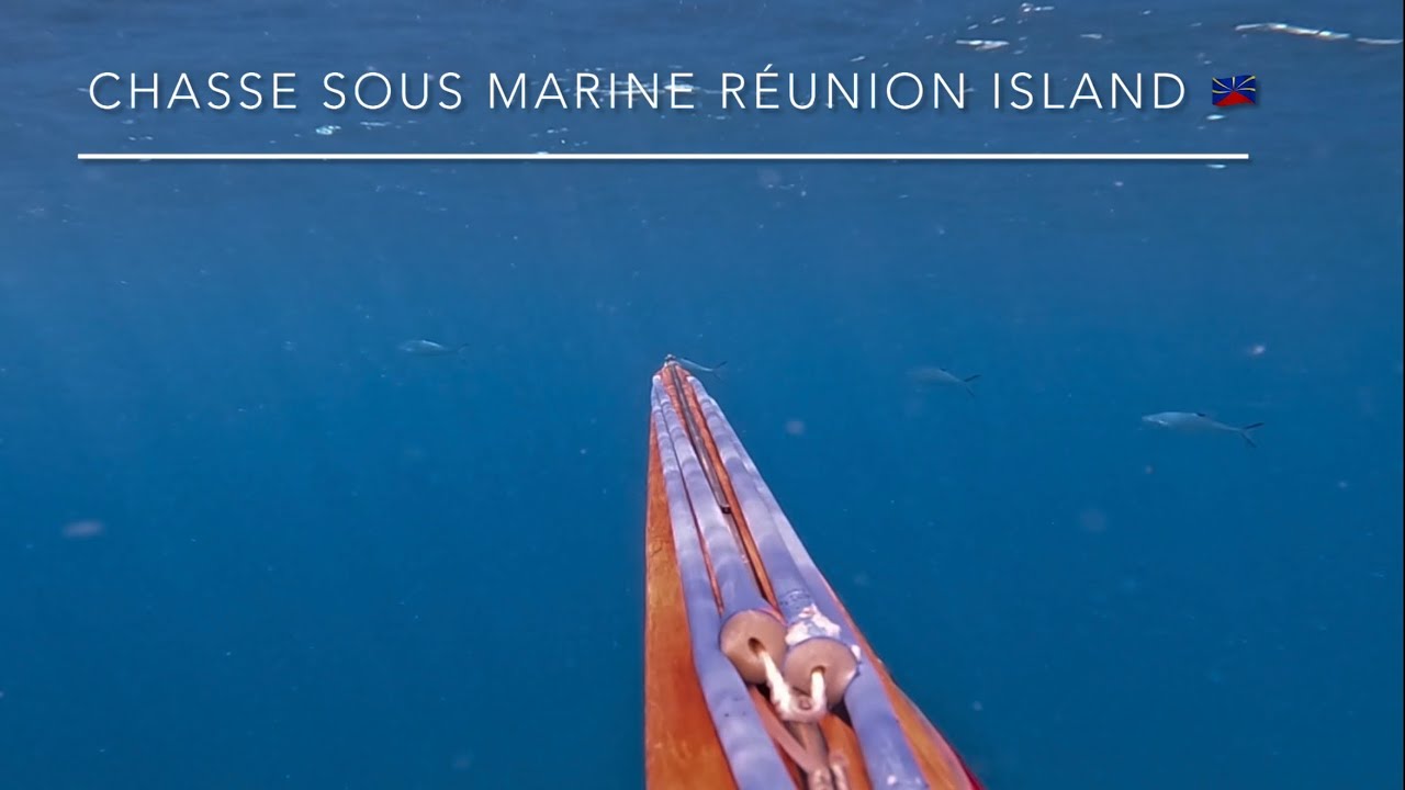 Chasse sous marine au DPP ( Spearfishing Réunion Island ) 🇷🇪