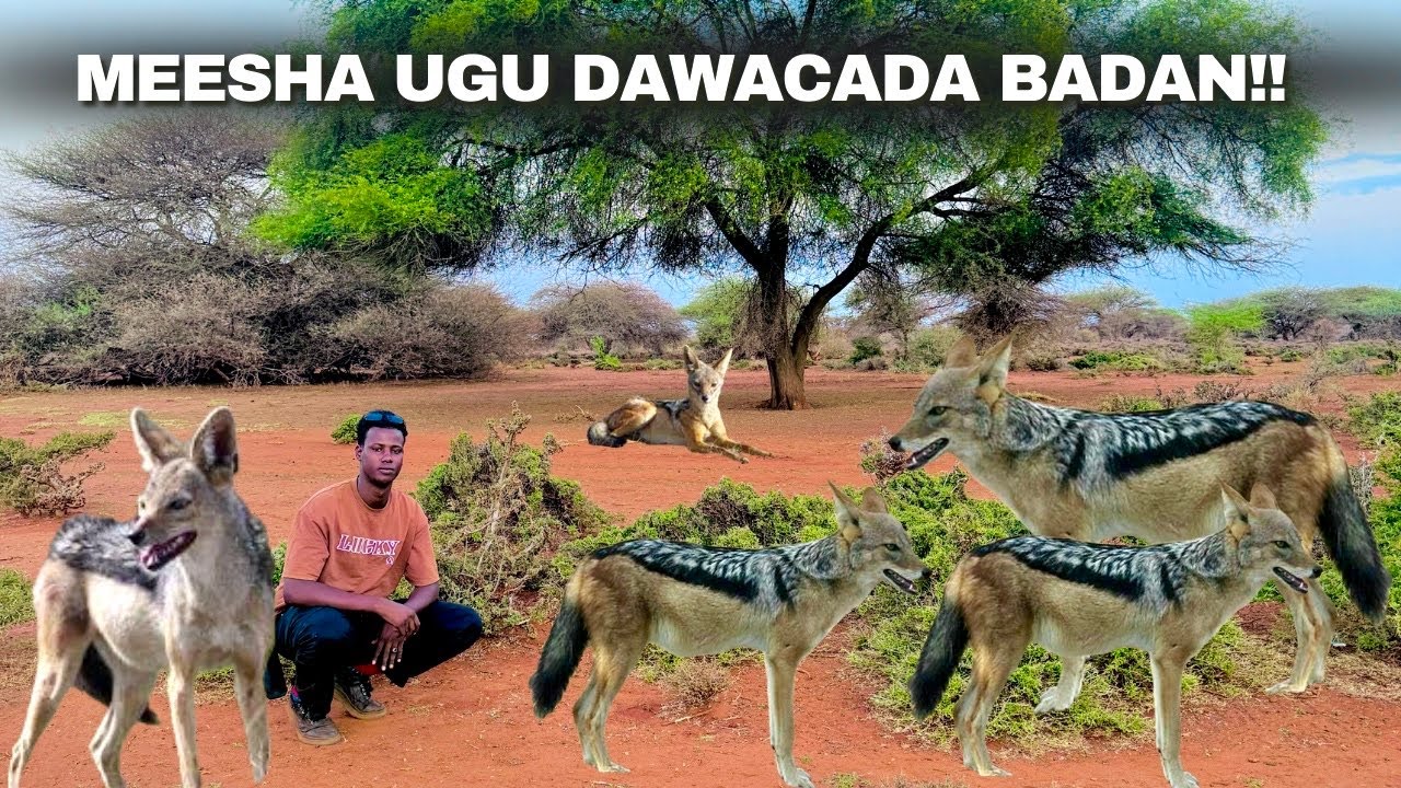 Waxan Booqday Meeshii Ugu Dawacada Badnayd Baalidhaye !!